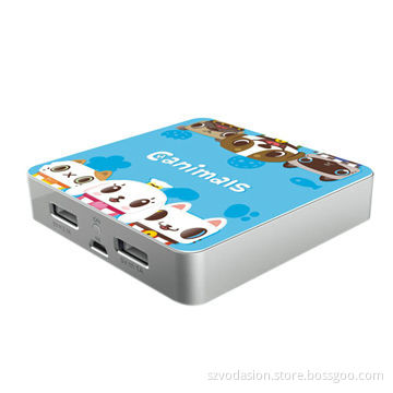 High Capacity 8,000mAh Portable Universal Power Bank for iPhone/iPad